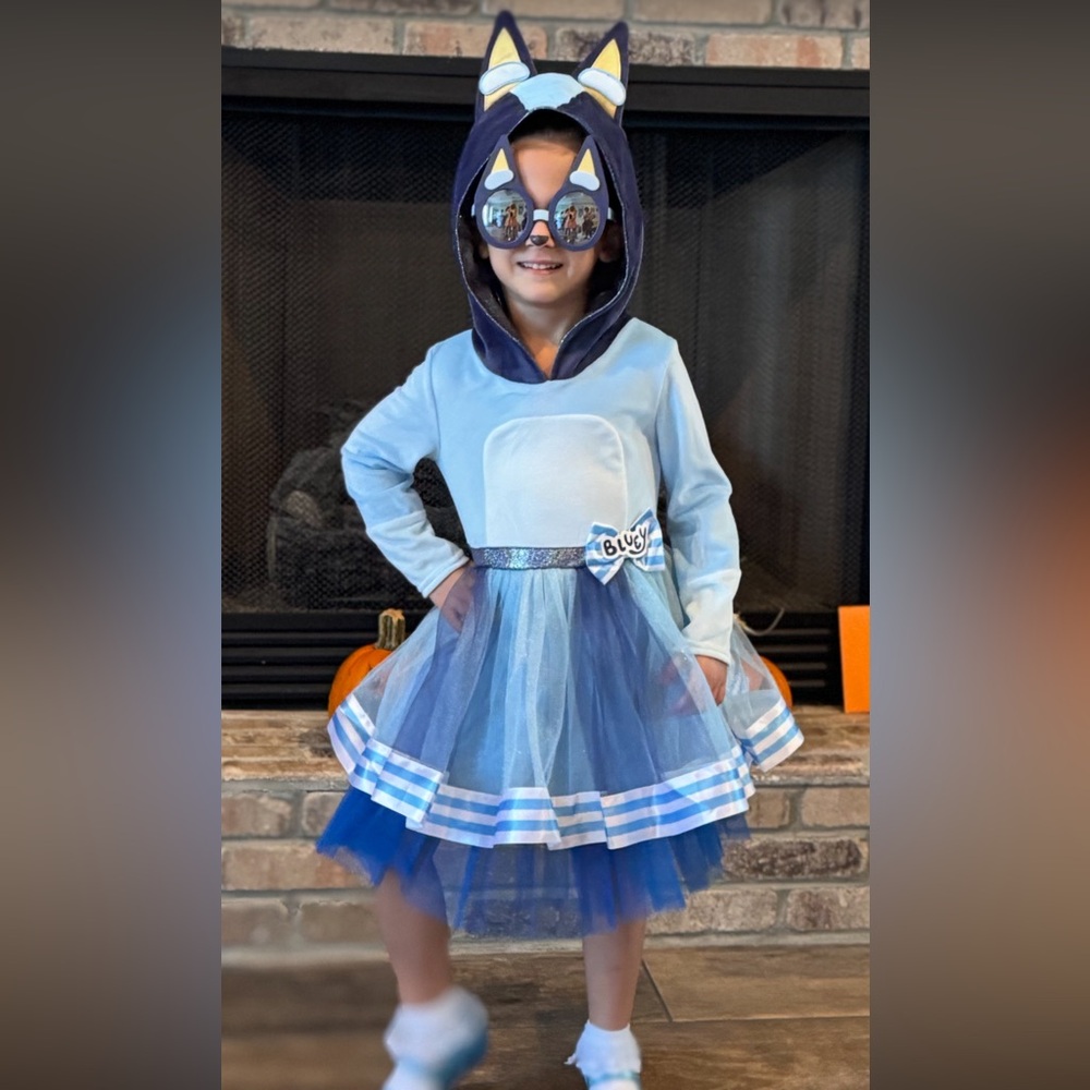 Toddler Girls Bluey Hooded Costume Dress 3-4T
